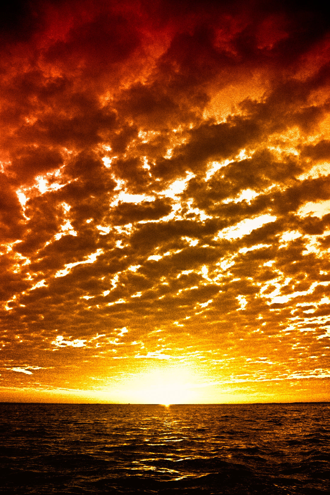 Image of sunset on the Gulf of America. The sky is on fire with reds and falls to pure light where the waves and sky meet horizon