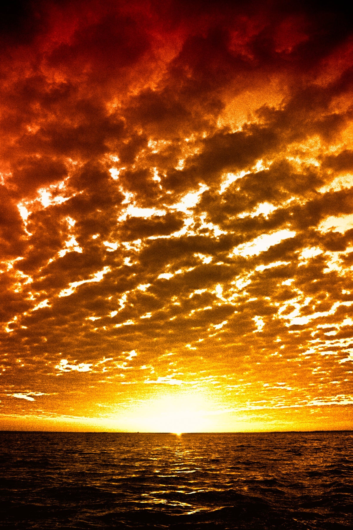 Image of sunset on the Gulf of America. The sky is on fire with reds and falls to pure light where the waves and sky meet horizon